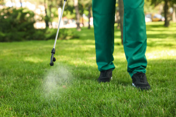 Best Insect Control  in Forest, VA