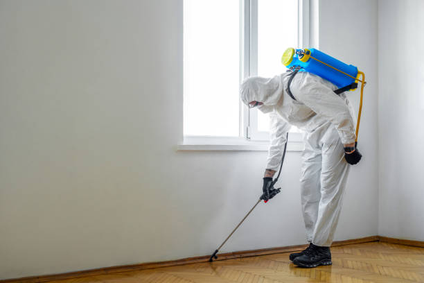 Best Best Pest Control Companies  in Forest, VA